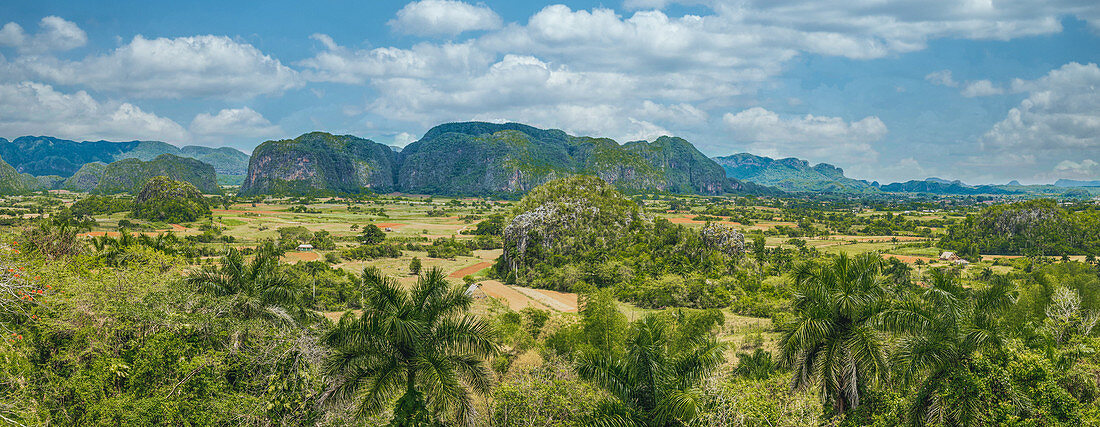View of the tobacco fields in the Vinales Valley, Pinar del Rio, Cuba