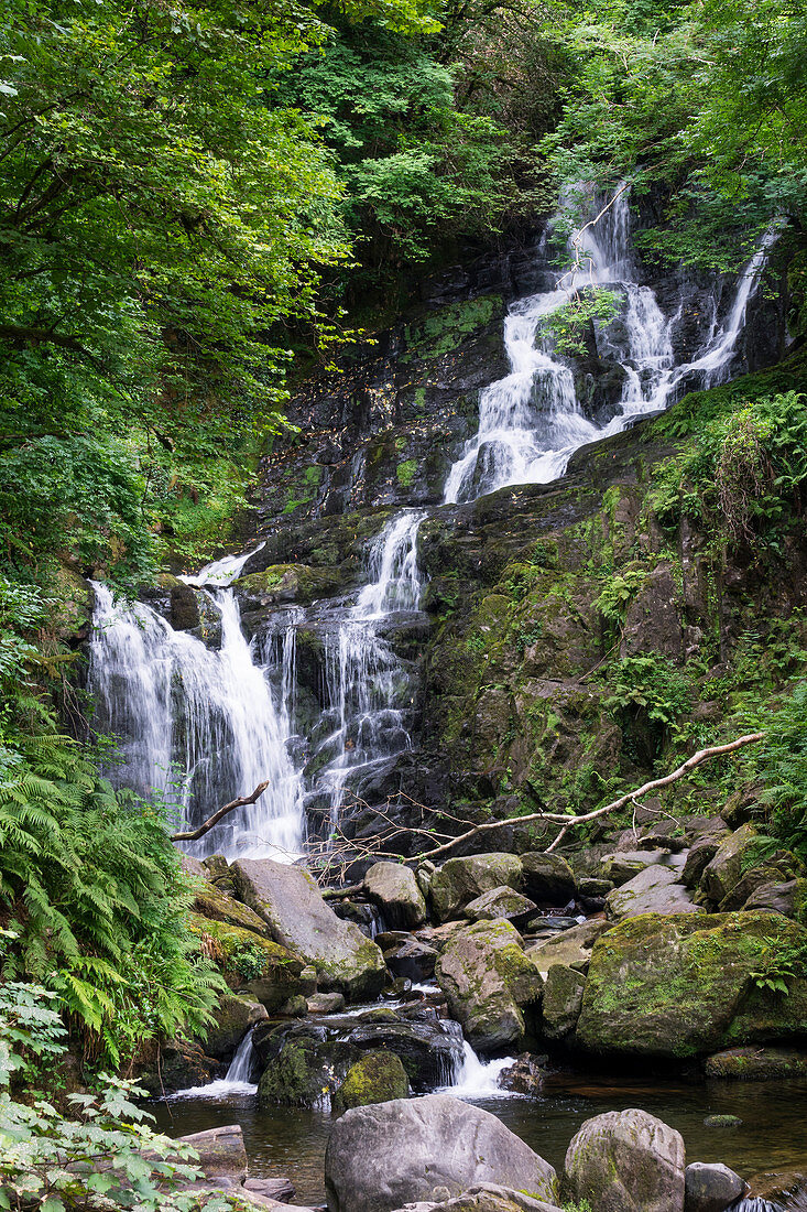 Torc Wasserfall, Killarney Nationalpark, Grafschaft Kerry, Irland, Europa