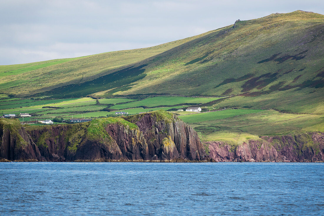 Klippen an der Dingle Halbinsel, Grafschaft Kerry, Irland