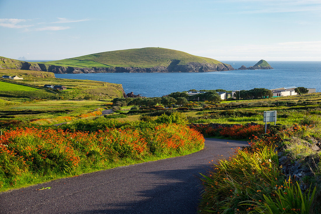 Dingle Halbinsel, County Kerry, Irland