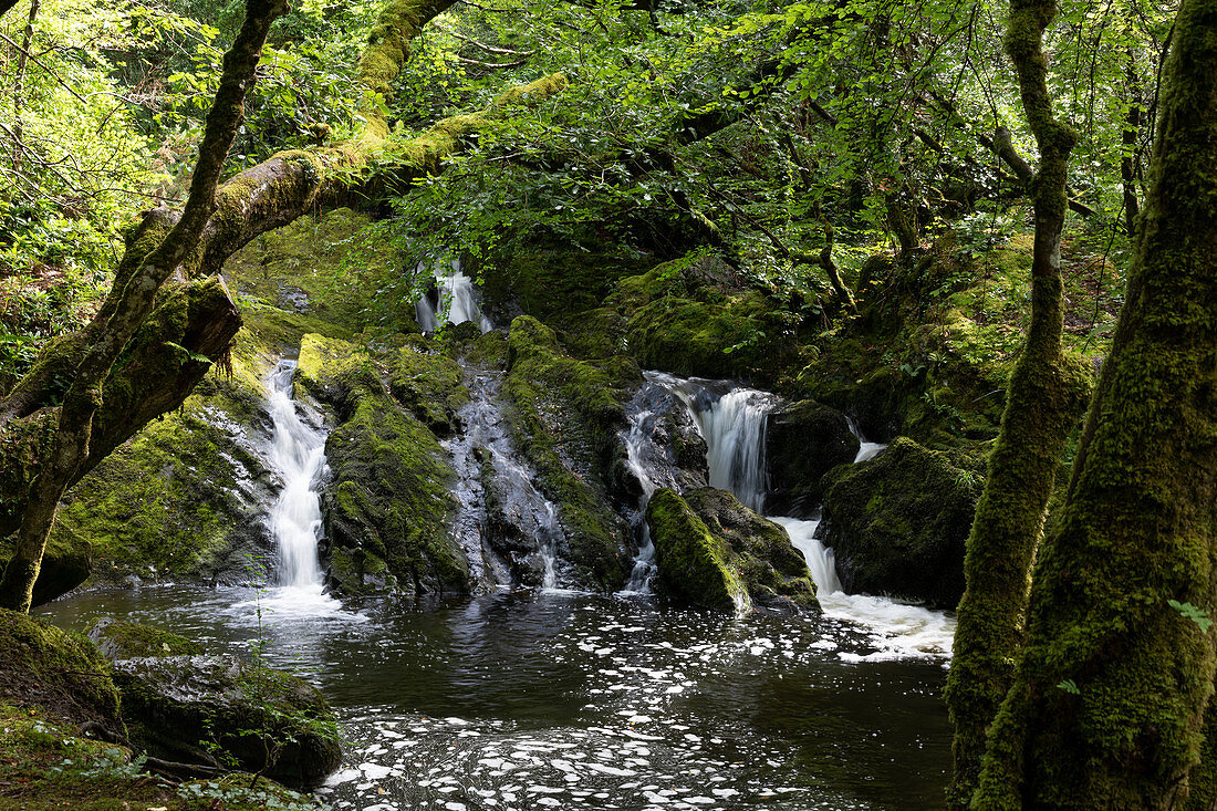 Wasserfall am Canrooska Fluss, Glengarriff Natur Reservat, Grafschaft Cork, Irland