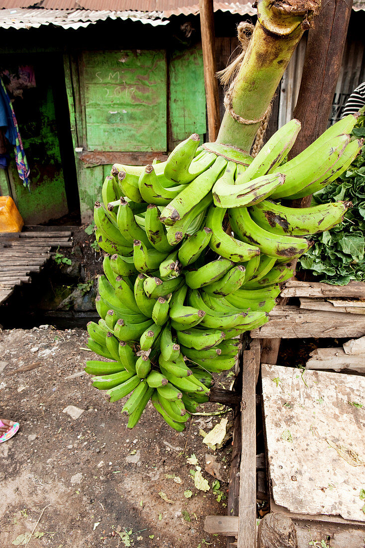 Bananen zum Verkauf im Slum, Eastleigh, Nairobi, Kenia