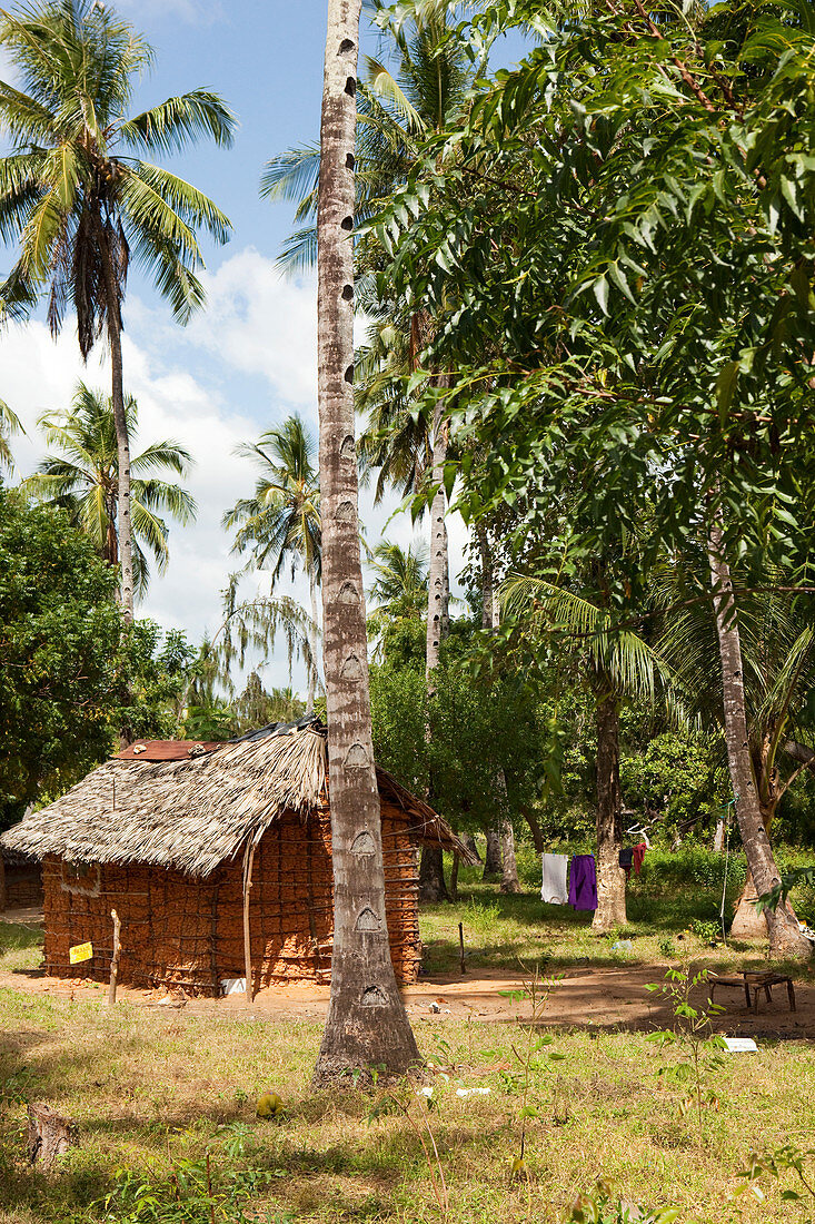 Lehmhütte in Kokosplantage, Watamu, Malindi, Kenia