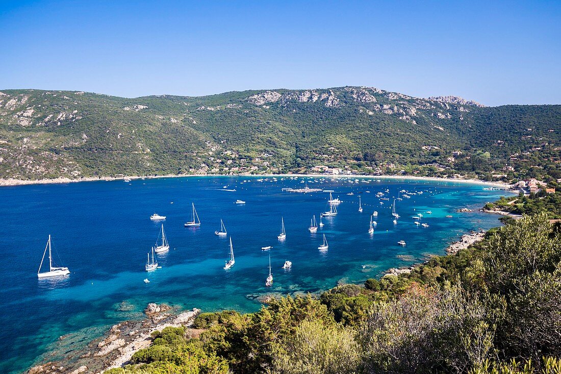 France, Corse du Sud, gulf of Campomoro, the village of Belvedere Campomoro