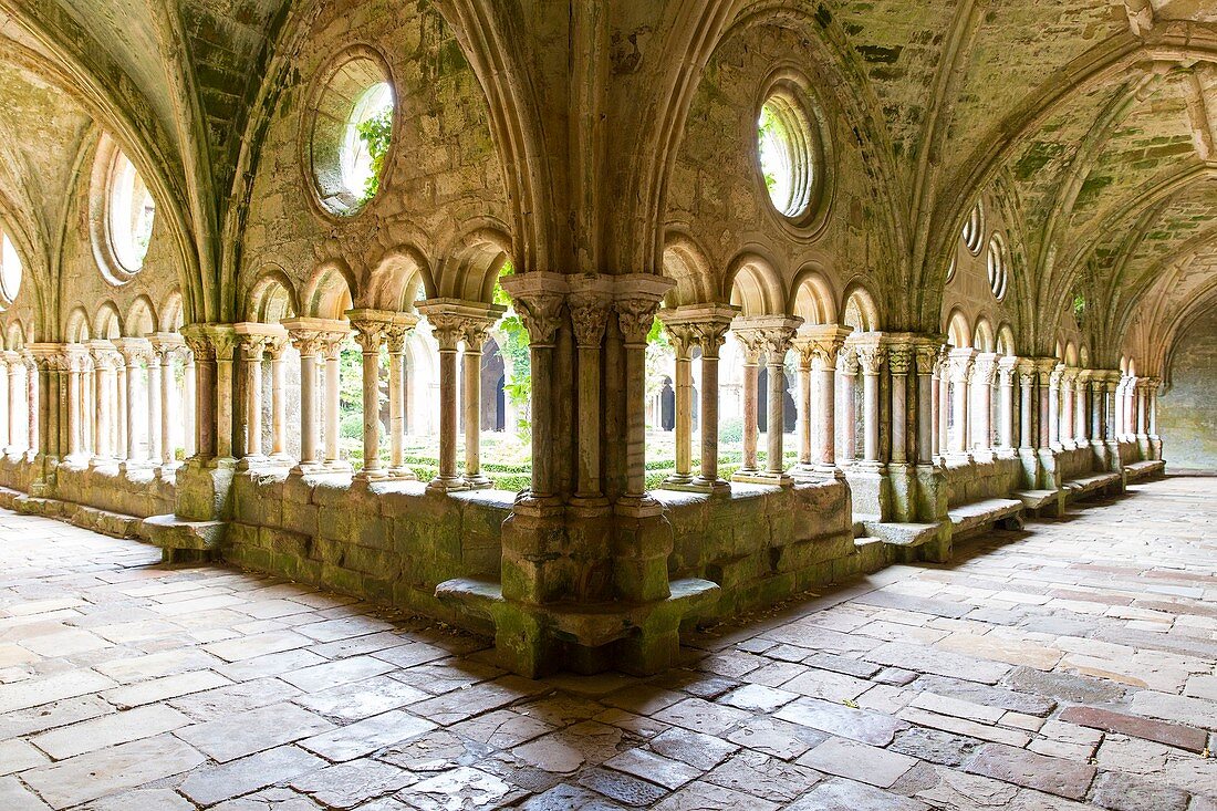 France, Aude, Le Pays Cathare (Cathar country), Narbonne, a galery of the cloister in Sainte Marie de Fontfroide abbey church