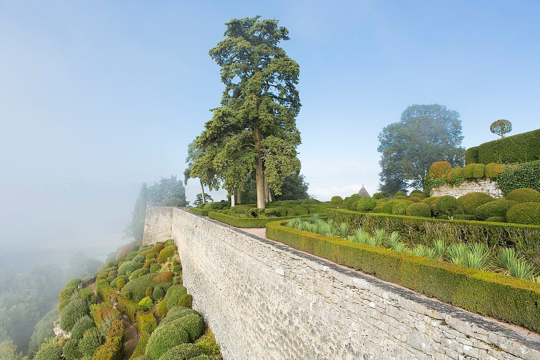 Frankreich, Dordogne, Périgord Noir, Dordogne-Tal, Vézac, Schloss Marqueyssac, terrassenförmige Buchsbaumgärten, entworfen von einem Schüler von Le Nôtre