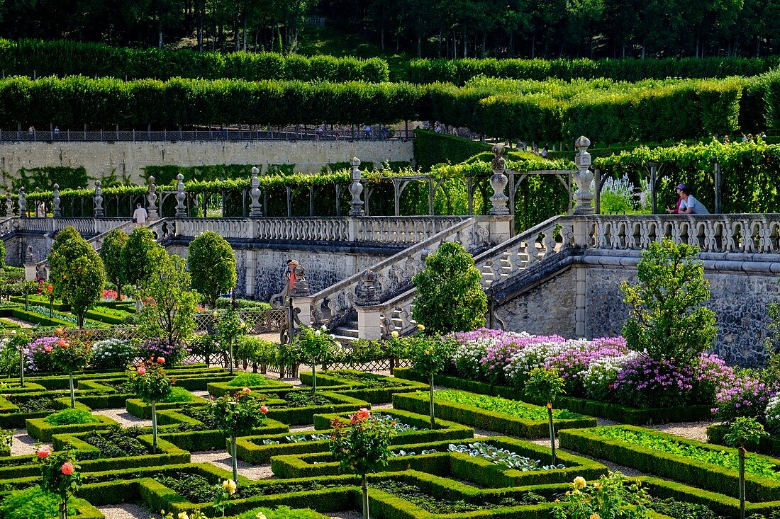 Frankreich, Indre-et-Loire, Loiretal, UNESCO Weltkulturerbe, Gärten des Schlosses von Villandry (Eigentum von Angelique und Henri Carvalho)