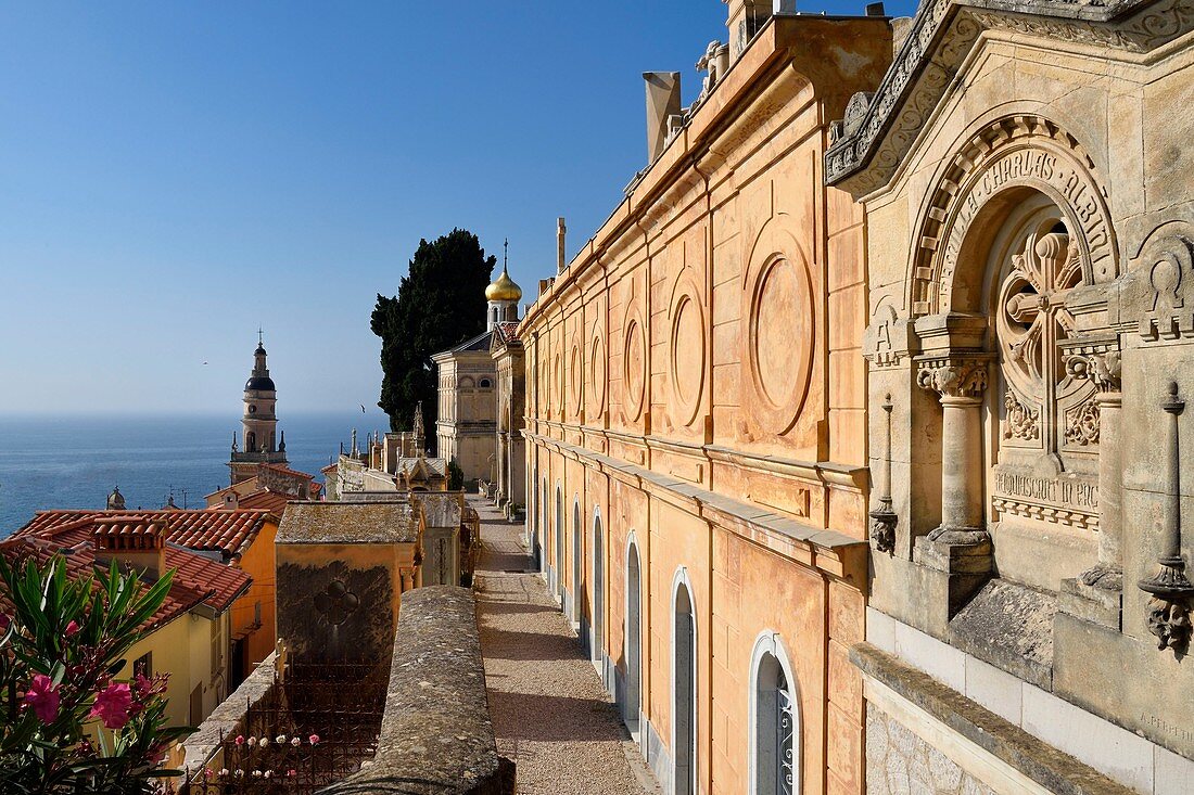 Frankreich, Alpes-Maritimes, Menton, die Altstadt, der Glockenturm der Basilika Saint-Michel vom Friedhof von Vieux-Château aus gesehen, Marinefriedhof