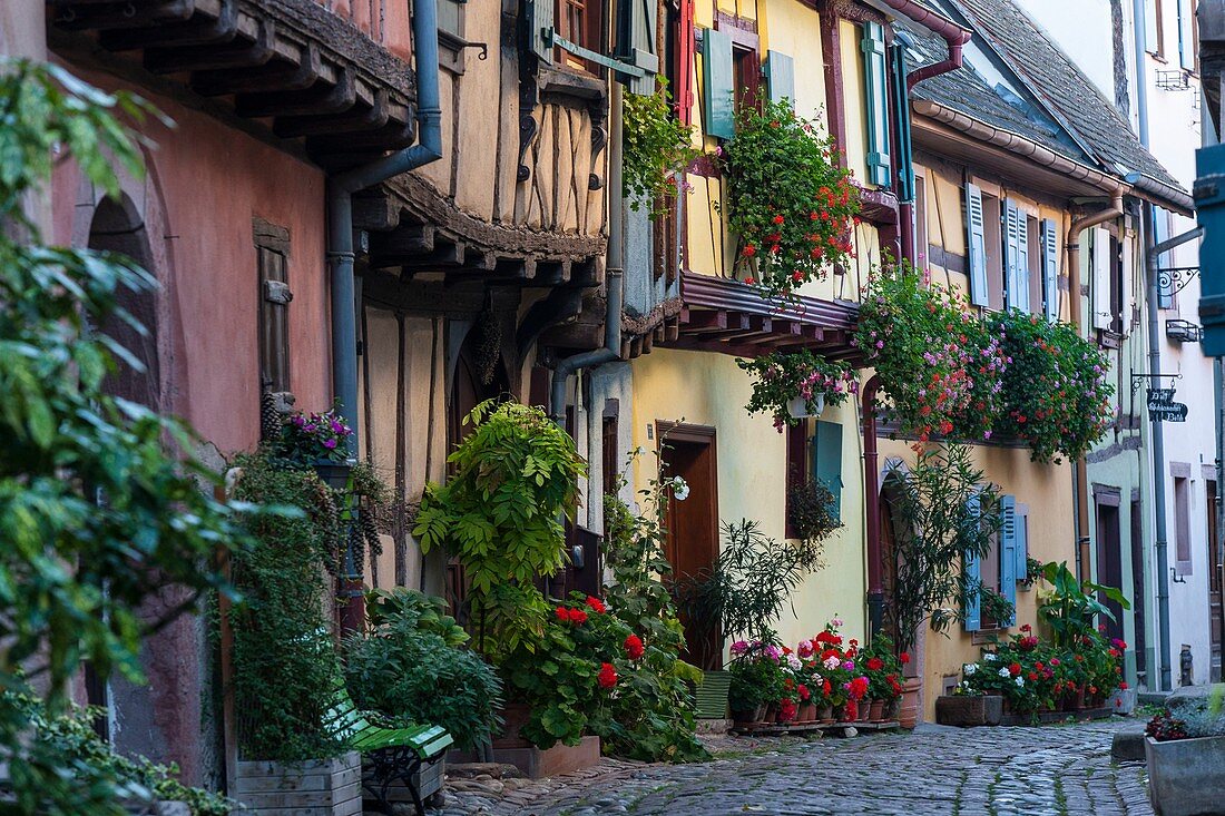 Frankreich, Haut-Rhin, Elsässer Weinstraße, Eguisheim mit der Bezeichnung 'Les Plus Beaux Villages de France' (schönste Dörfer Frankreichs), traditionelle Fachwerkhäuser