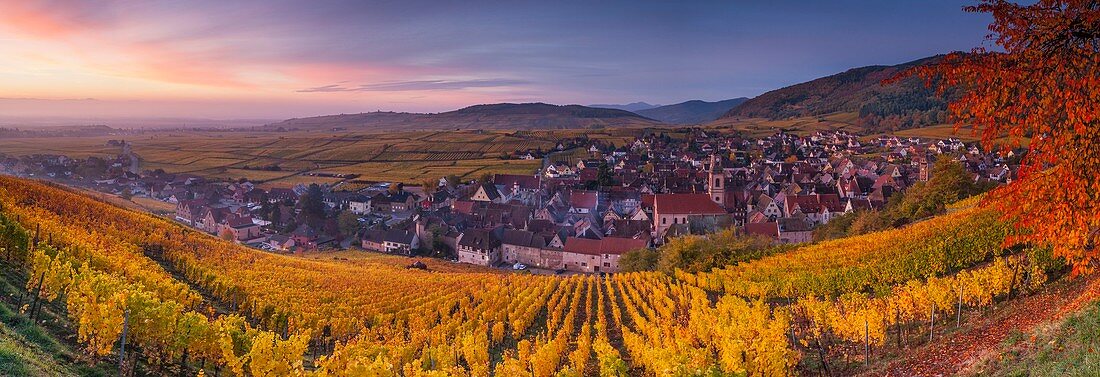 Frankreich, Haut-Rhin, Elsässer Weinstraße, Riquewihr mit der Bezeichnung 'Les Plus Beaux Villages de France' (schönste Dörfer Frankreichs)