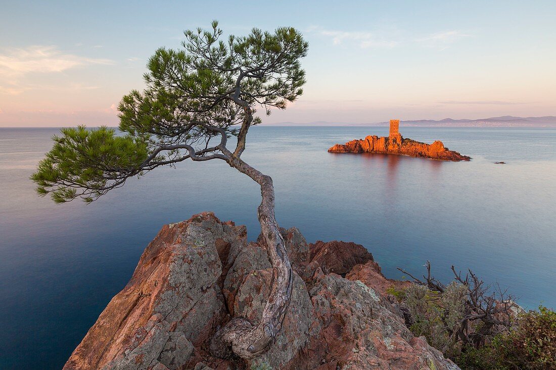 France, Var, Corniche de l'Esterel, Saint Raphael, Ile d'Or in front of the Cap du Dramont