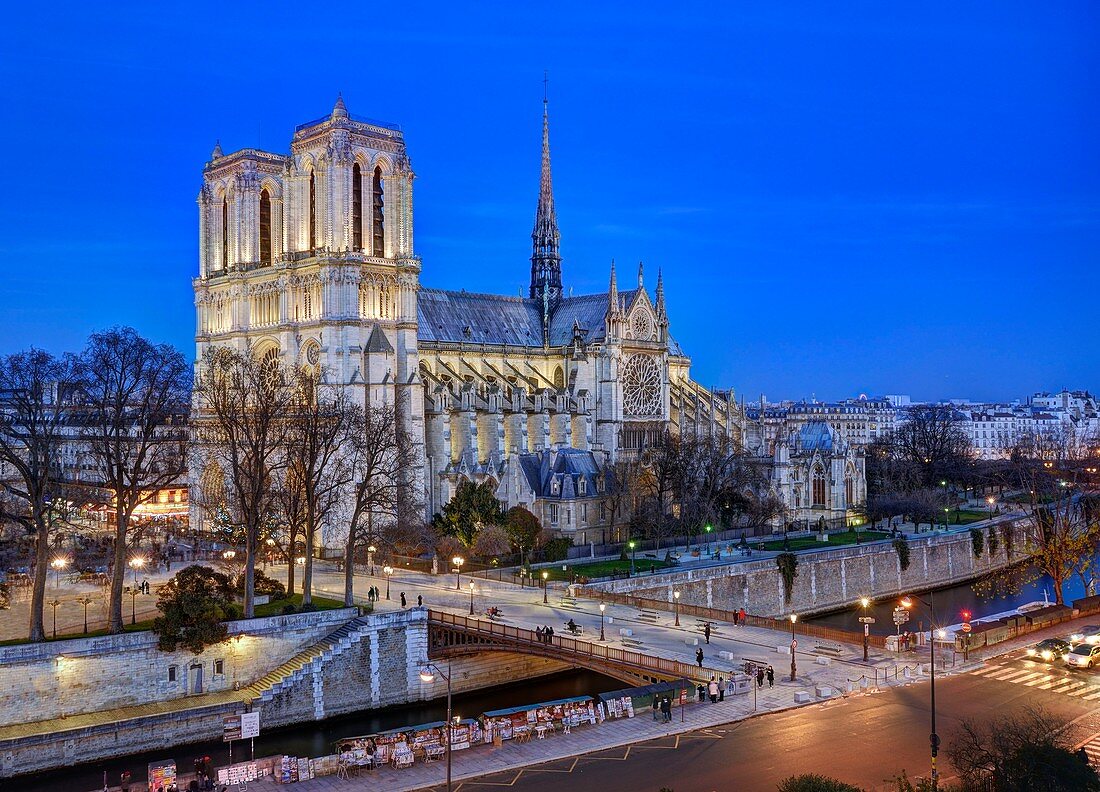 France, Paris, the banks of the Seine river listed as World Heritage by UNESCO, île de la Cité (City island) with Notre-Dame cathedral and the pont (bridge) au Double