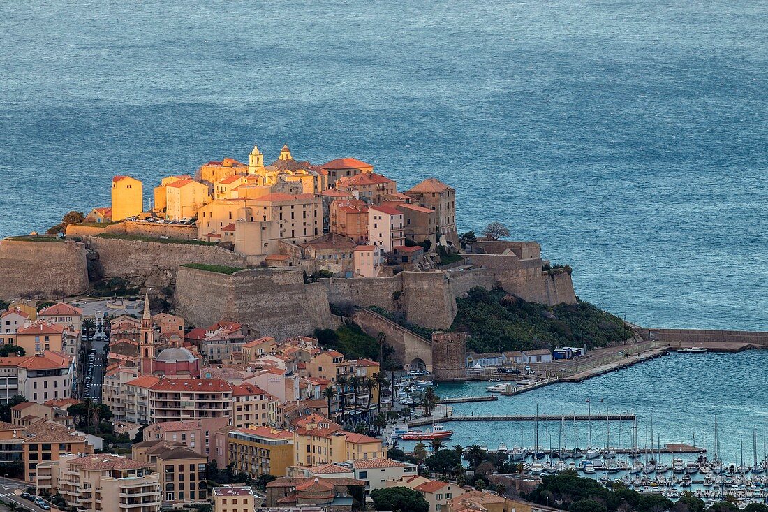 Frankreich, Haute-Corse, Balagne, Calvi und die genuesische Zitadelle