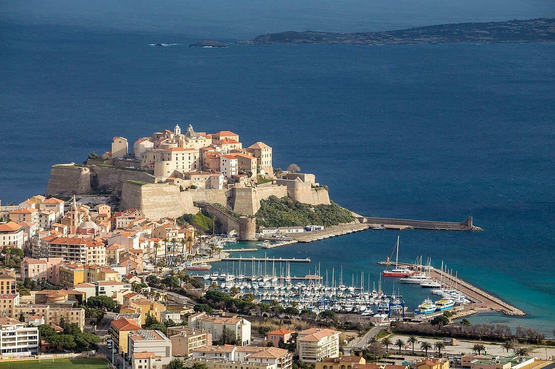 France, Haute Corse, Balagne, Calvi and his Genoese citadel in the bay of Calvi