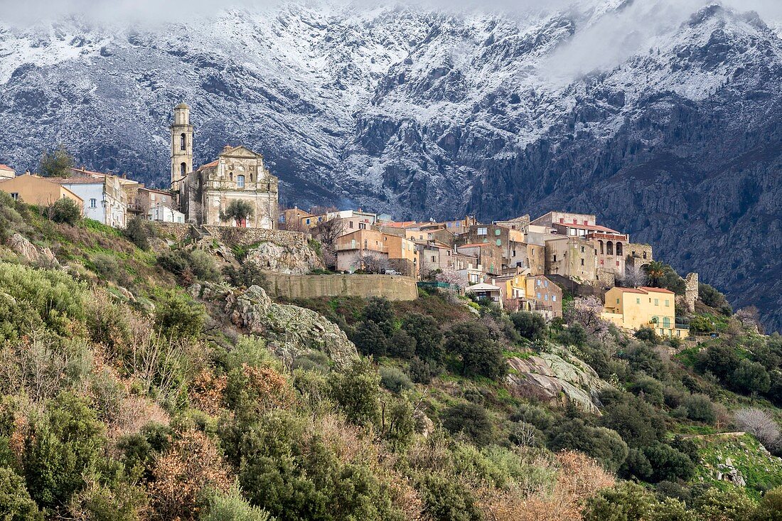 France, Haute Corse, Balagne, Montegrosso, village of Montemaggiore, in background the massif of Monte Grosso
