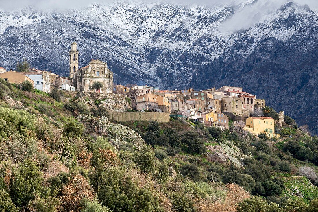 Frankreich, Haute-Corse, Balagne, Montegrosso, Dorf Montemaggiore, im Hintergrund das Massiv des Monte Grosso