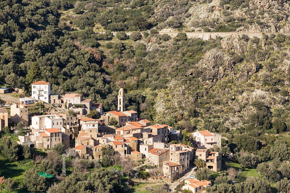 France, Haute Corse, Balagne, overview of the village of Avapessa
