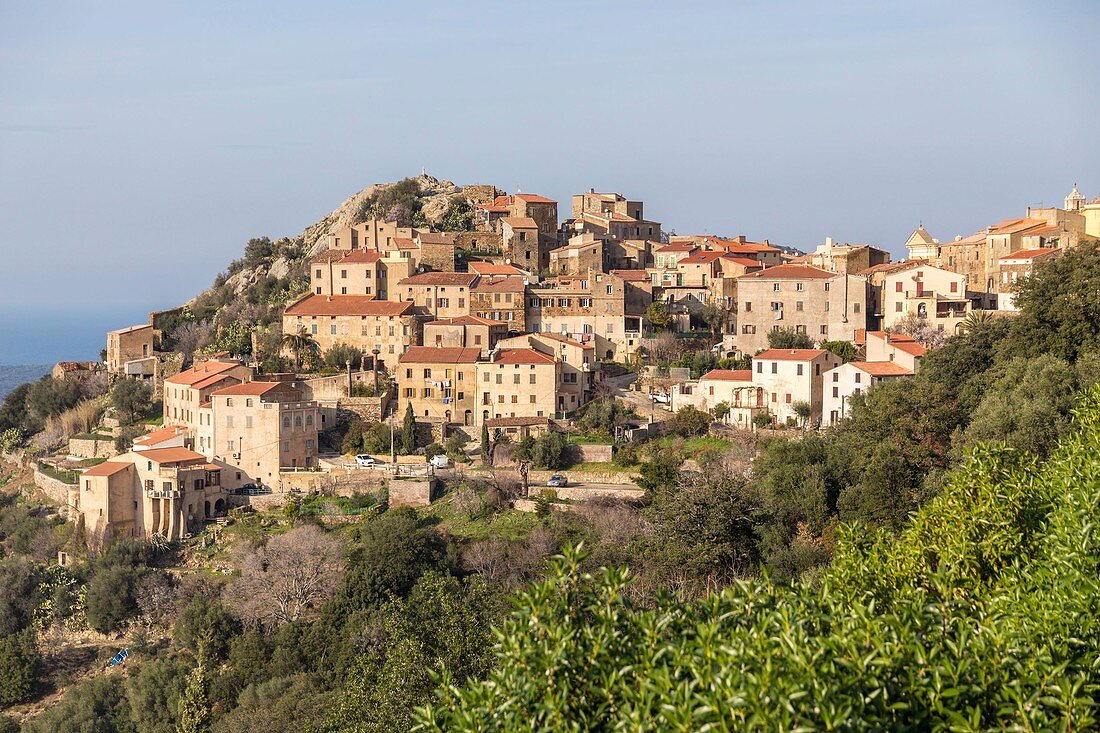 France, Haute Corse, Balagne, overview of the village of Belgodère