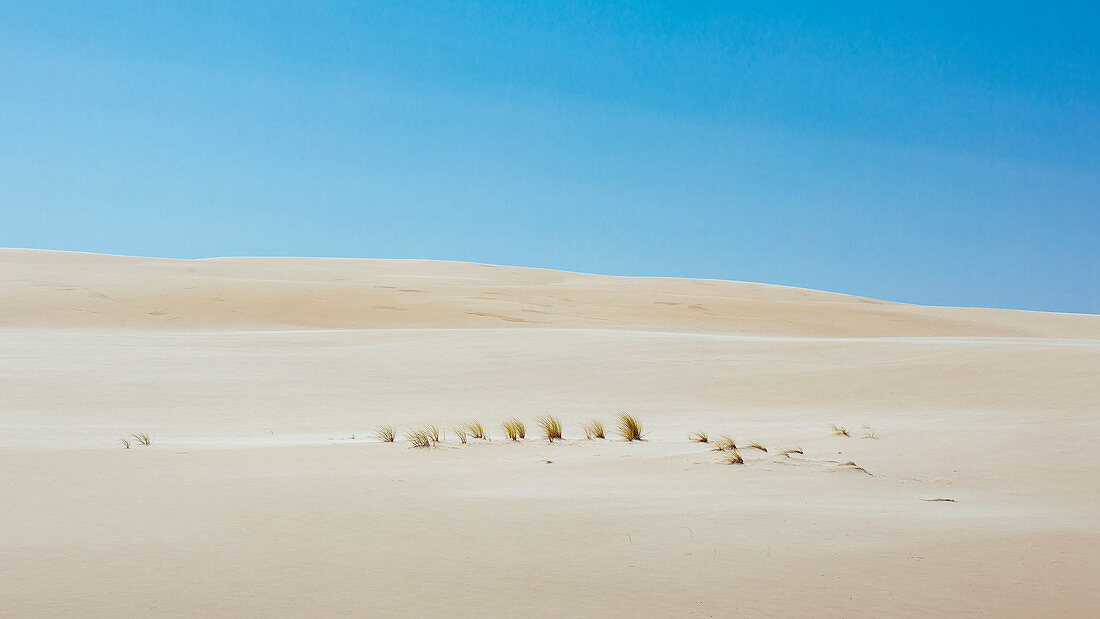 Lontzkedüne near Leba, Pomerania, Baltic Sea, Poland