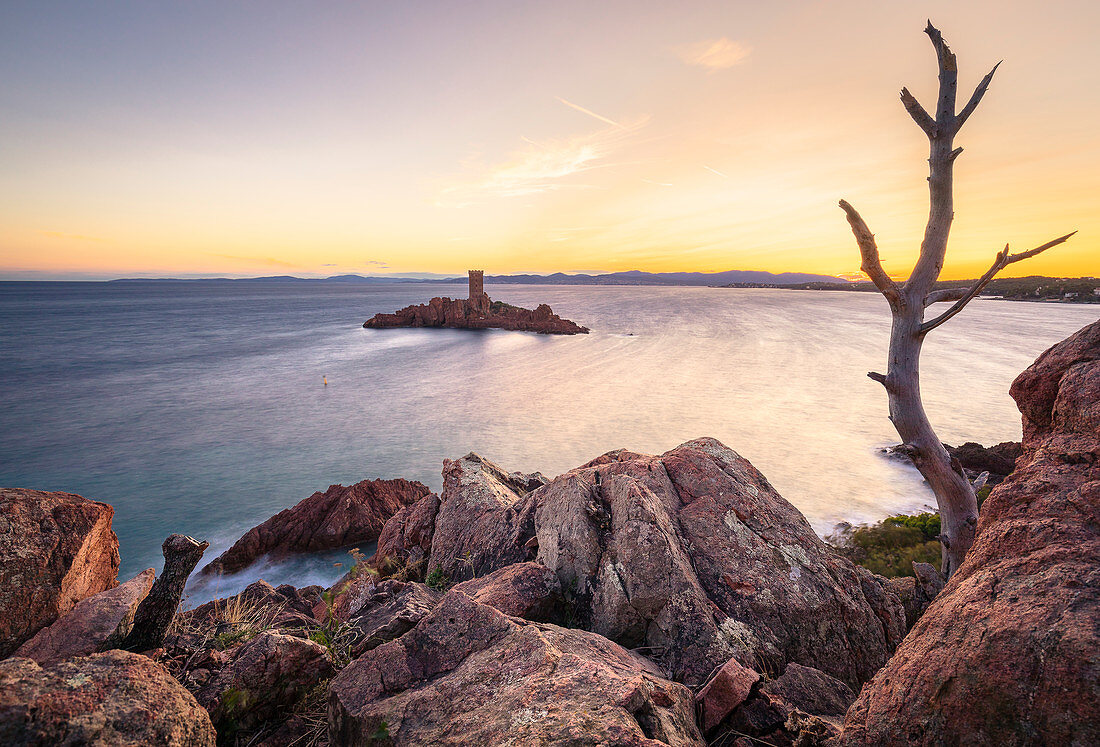 Ile d'Or, vor dem Cap Le Dramont, Departement Var,     Provence-Alpes-Côte d'Azur, Côte d'Azur, Frankreich