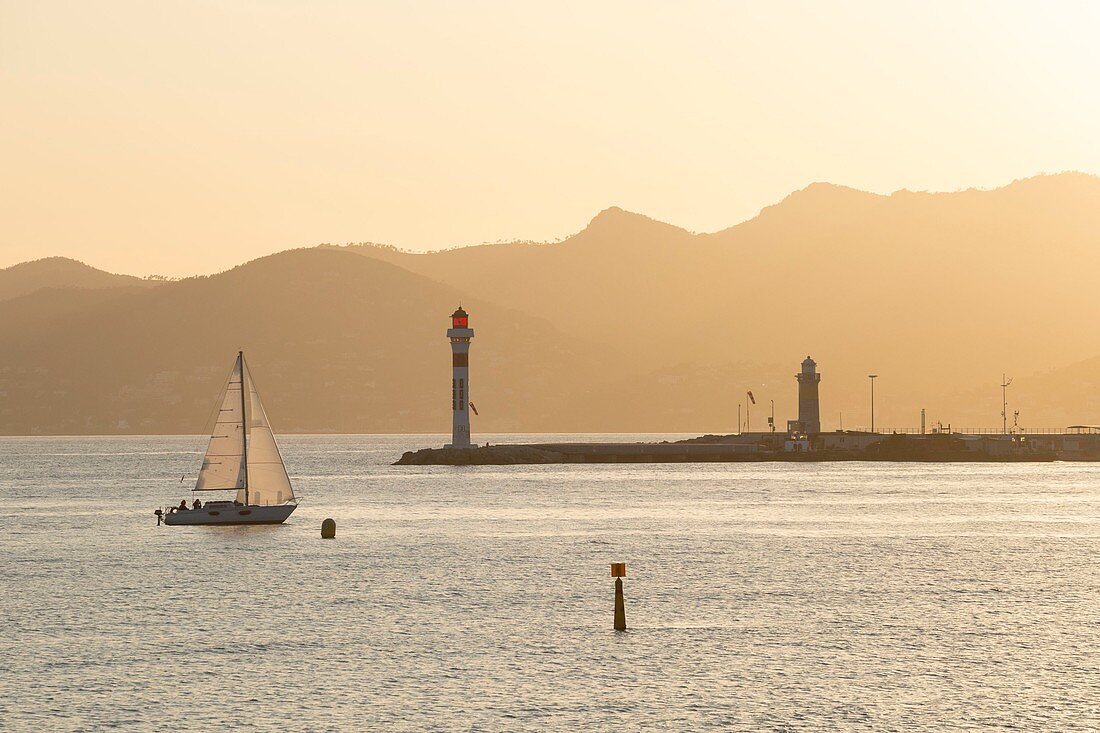Frankreich, Alpes-Maritimes, Cannes, Segelboot fährt bei Sonnenuntergang in den alten Hafen von Cannes ein