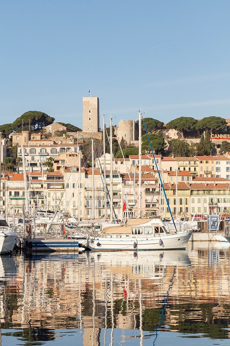 Frankreich, Alpes-Maritimes, Cannes, der alte Hafen und seine Jachten von der Albert Edouard-Mole aus, im Hintergrund das Suquet mit dem Glockenturm der Kirche Notre-Dame-de-l'Espérance und dem Suquet-Turm
