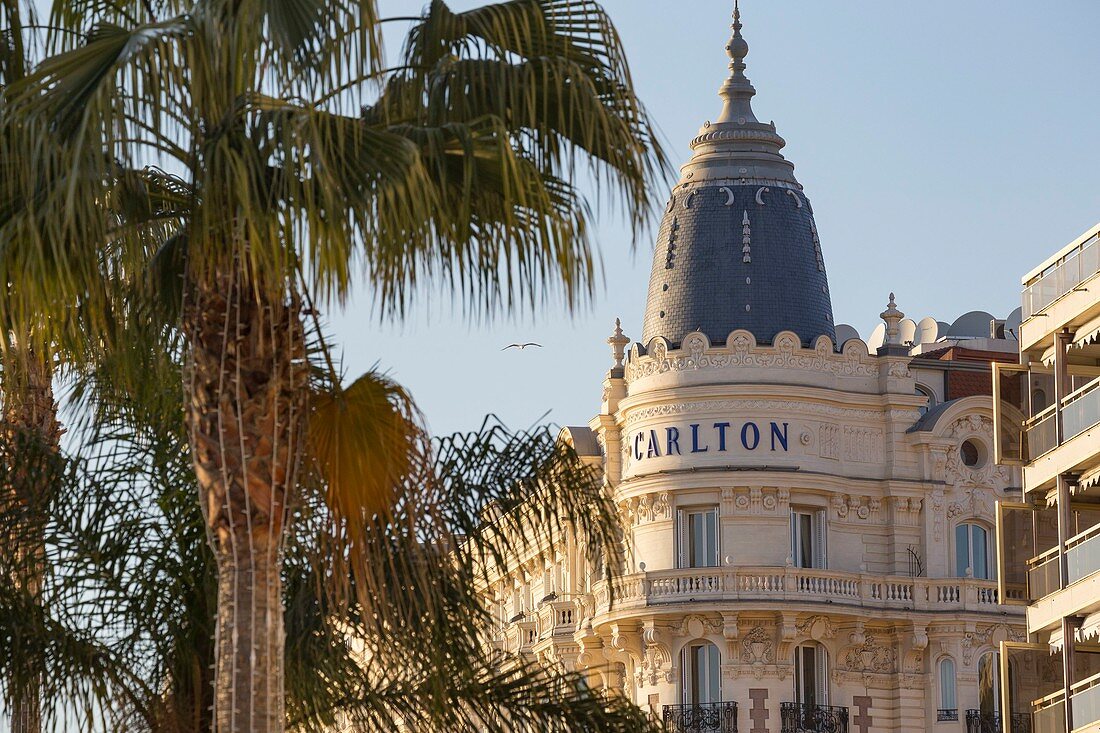 Frankreich, Alpes-Maritimes, Cannes, der Palast Carlton am Boulevard de la Croisette