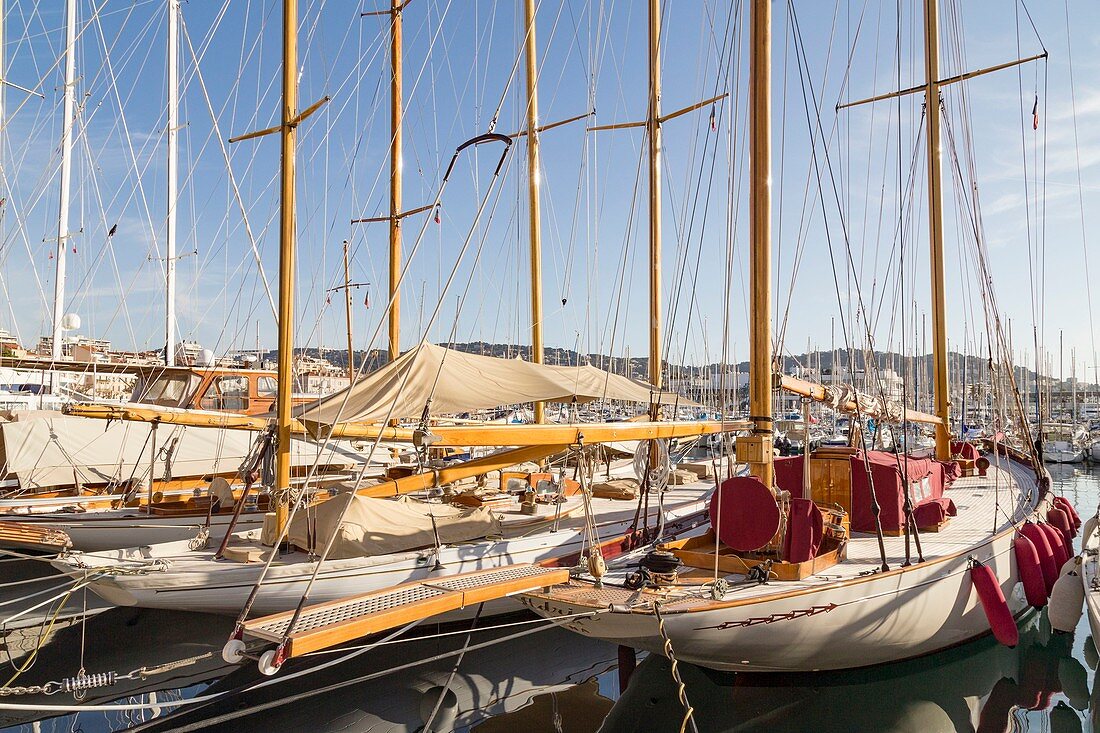 France, Alpes Maritimes, Cannes, the old port and its classic yachts from quai Saint-Pierre