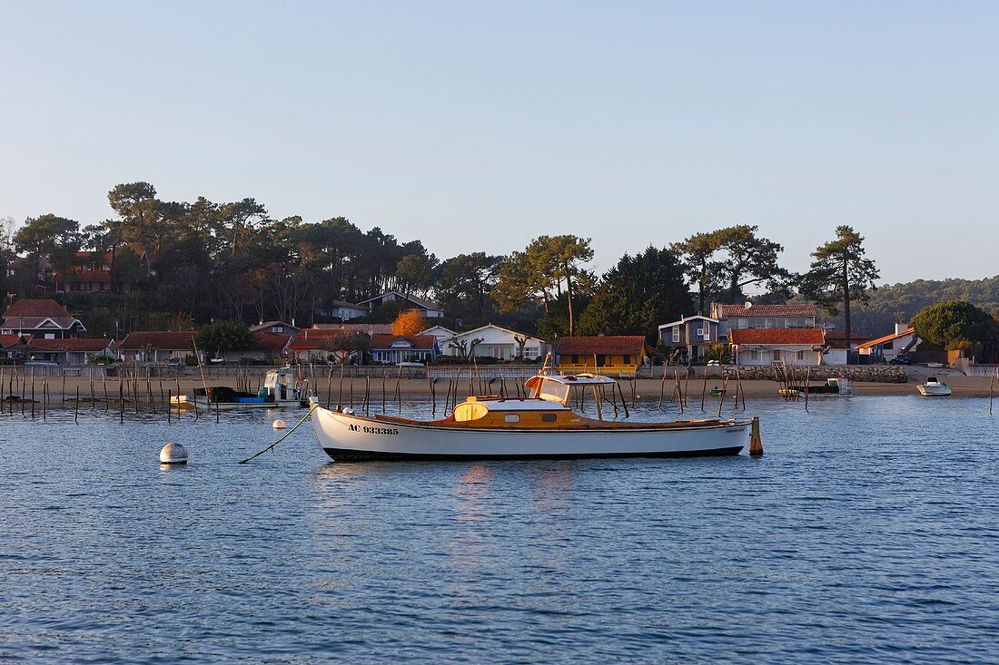 Frankreich, Gironde, Bassin d'Arcachon, Cap Ferret, Pirillan, Pinasse