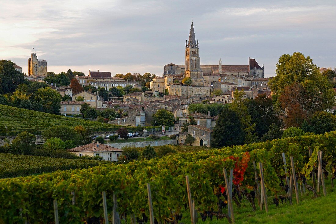 Frankreich, Gironde, Saint-Emilion, UNESCO Weltkulturerbe, Gesamtansicht der mittelalterlichen Stadt, die von der monolithischen Kirche aus dem 11. Jahrhundert dominiert wird, die von den Reben aus gesehen vollständig in den Felsen gehauen ist.