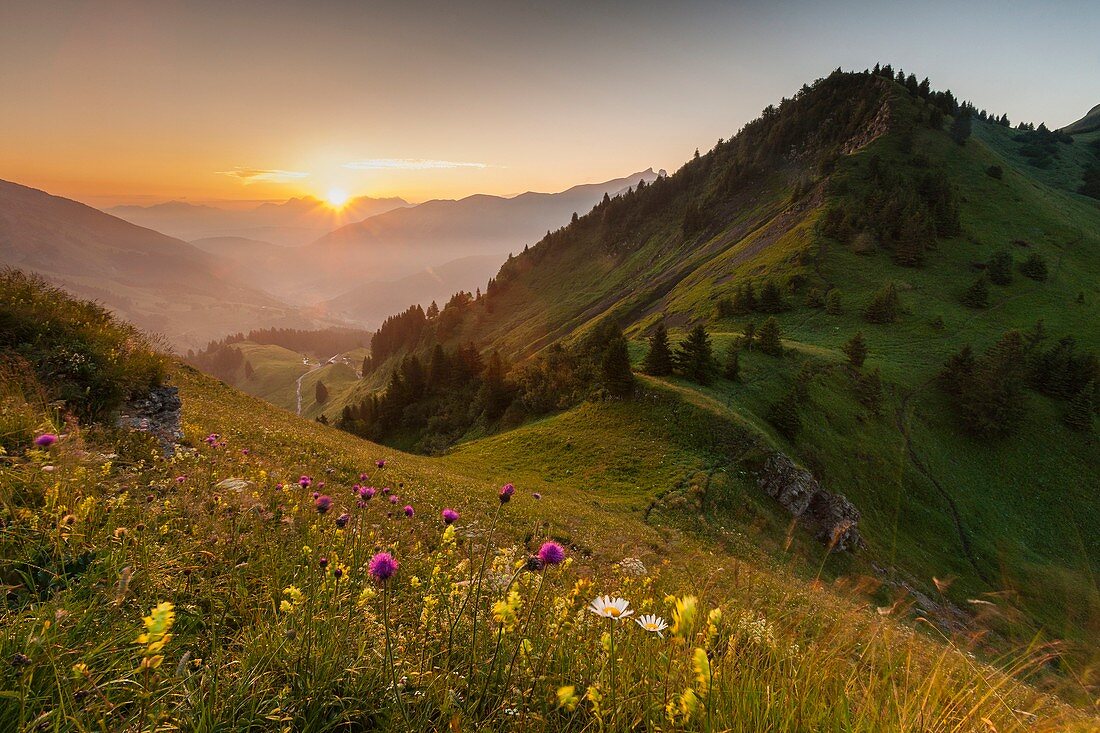 France, Haute-Savoie, col de la Colombiere, seen on the valley of the Reposoir