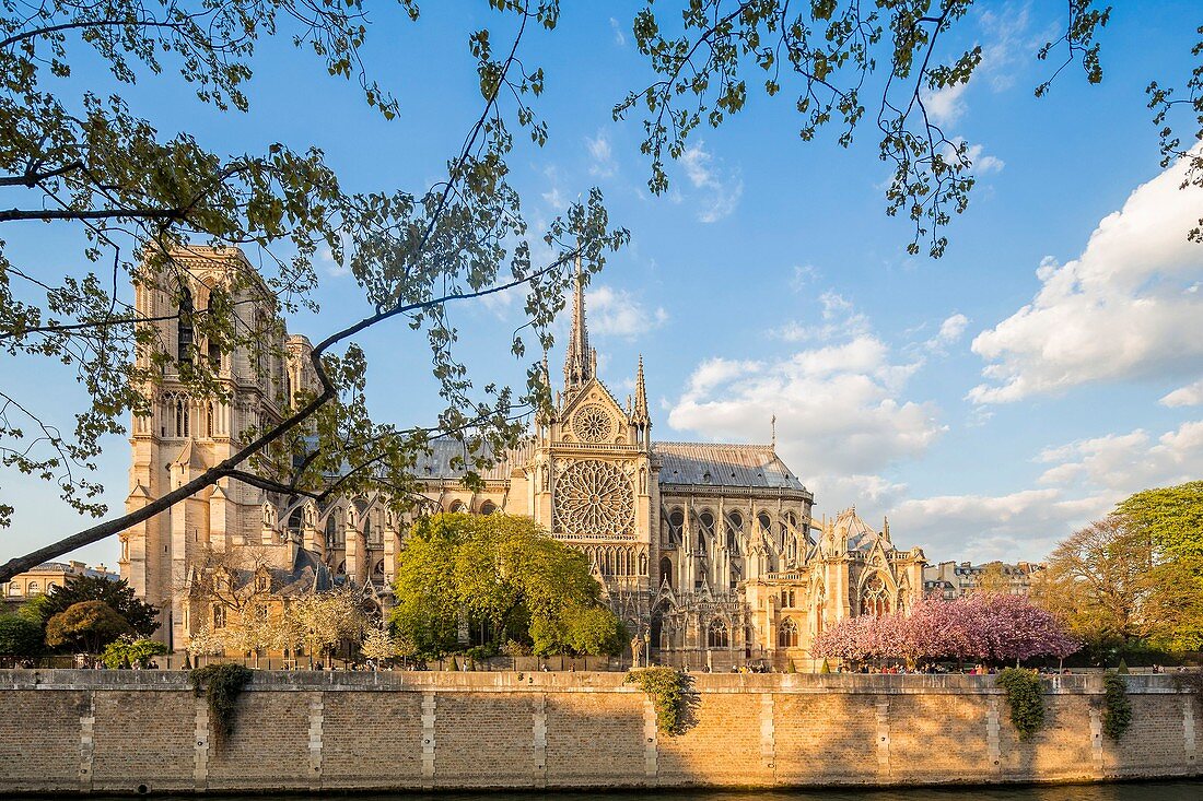 France, Paris, area listed as World Heritage by UNESCO, ile de la Cite and the Notre Dame Cathedral of Paris