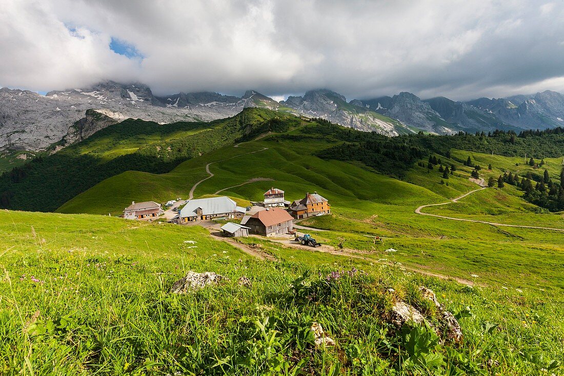 France, Haute-Savoie, Col des Annes, in the background the chain of Aravis