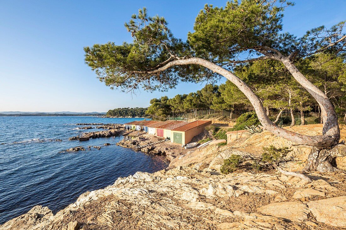 Frankreich, Var, Bormes-les-Mimosas, Cap de Bregancon, Fischerhütten an der Pointe du Diable