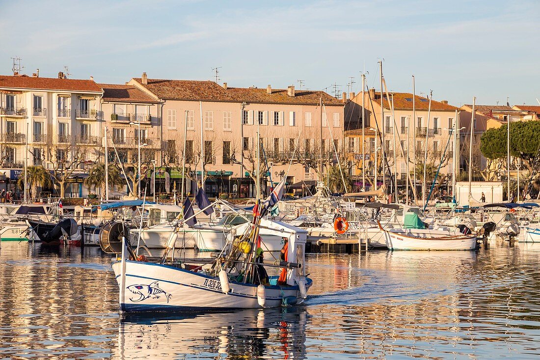 France, Var, Saint Raphaël, the old harbor