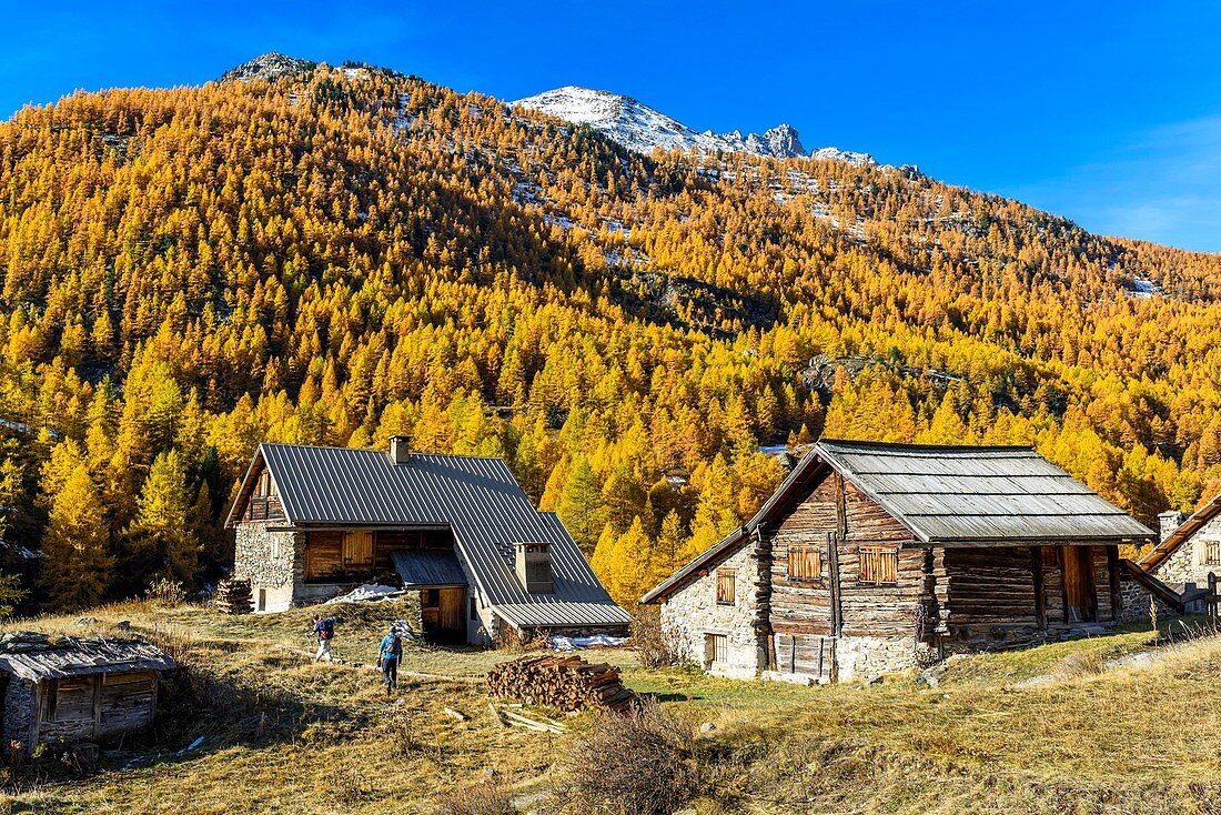 France, Hautes Alpes, Brianconnais in fall, Claree valley, Verney Chalets