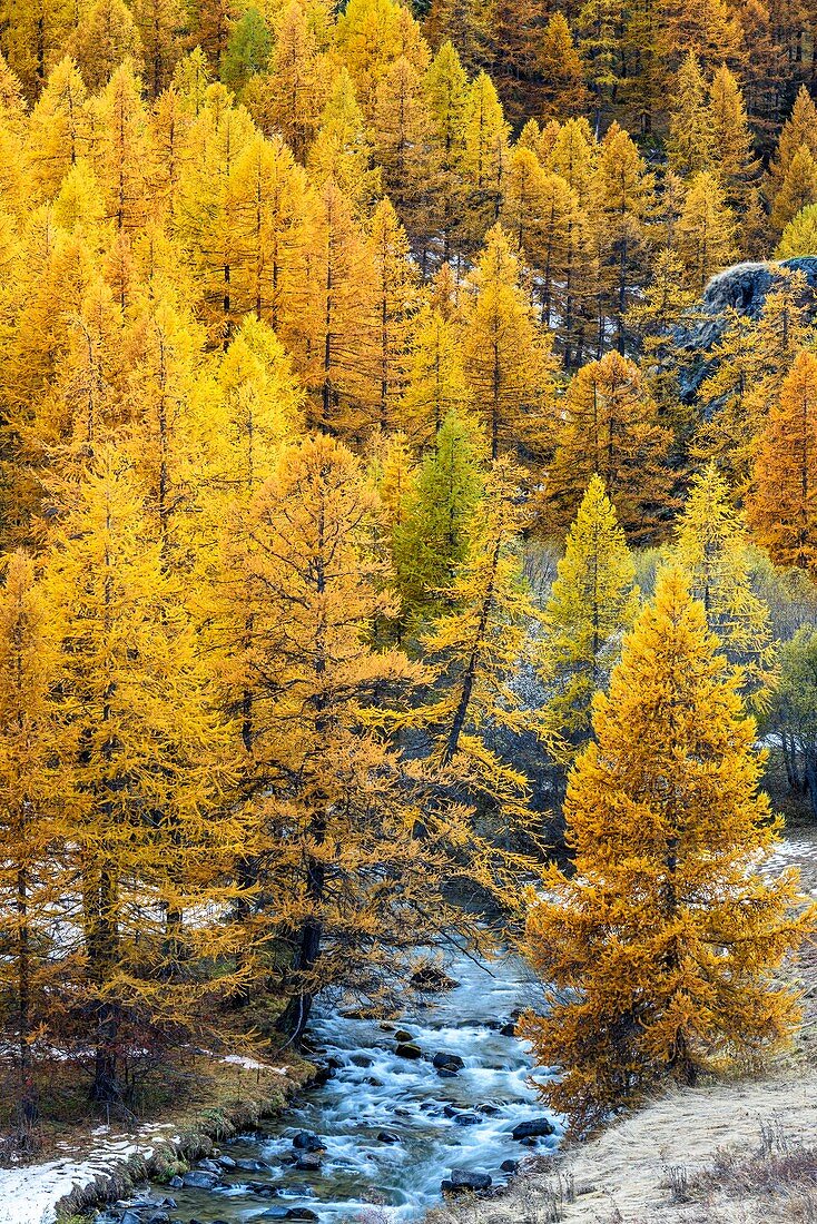 France, Hautes Alpes, Brianconnais in fall, Claree valley