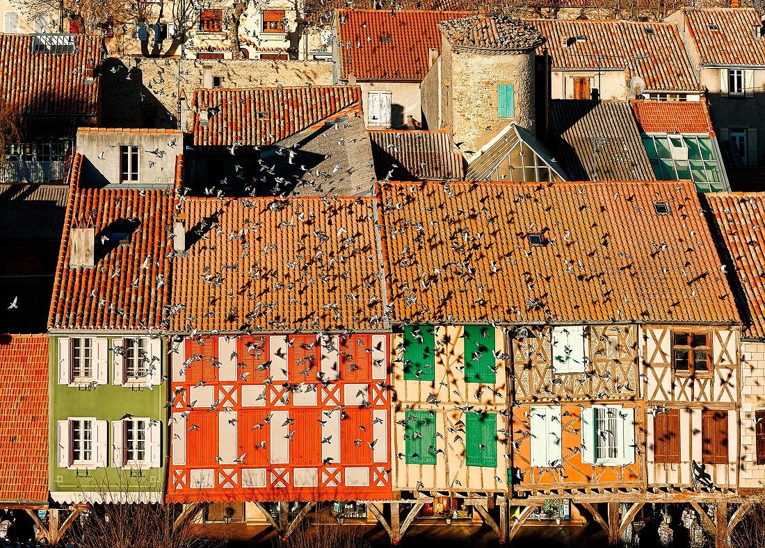 Frankreich, Ariege, Mirepoix, kennzeichnet als Grands Sites de Midi-Pyrénées, Katharerland, Blick auf die Pastellhäuser und Dächer von Mirepoix