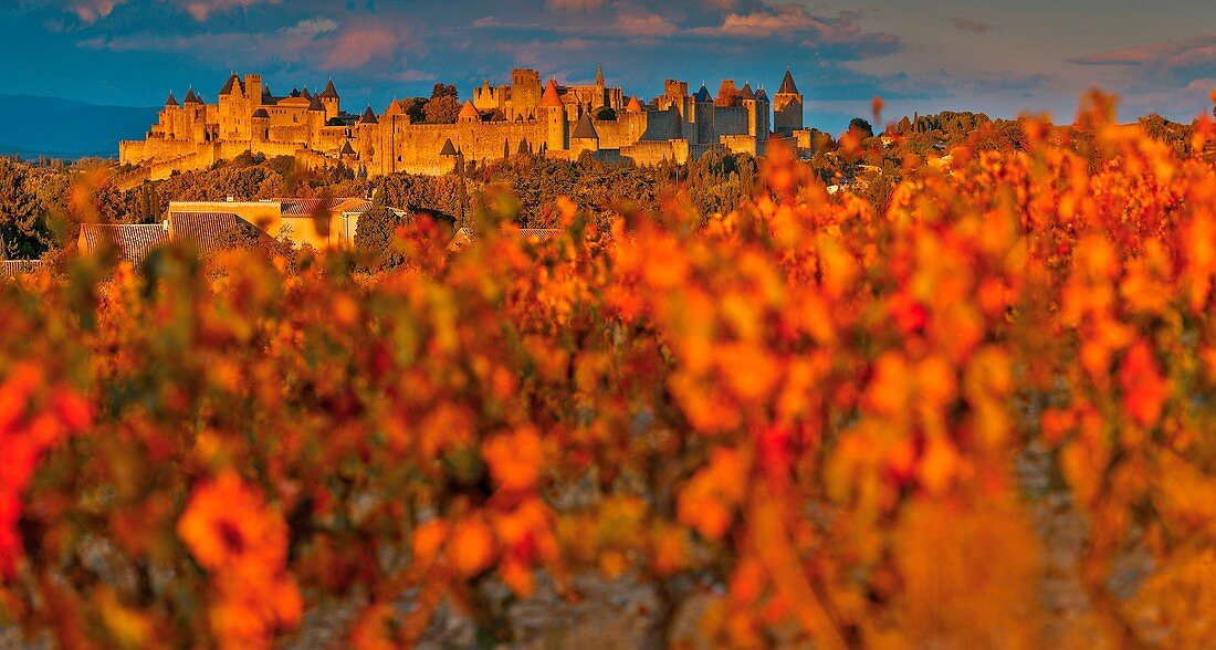 Frankreich, Aude, Carcassonne, mittelalterliche Stadt Carcassonne