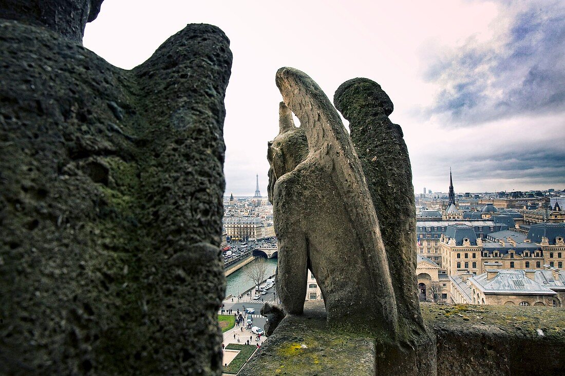 France, Paris, area listed as World Heritage by UNESCO, Notre Dame de Paris, view from the gargoyles