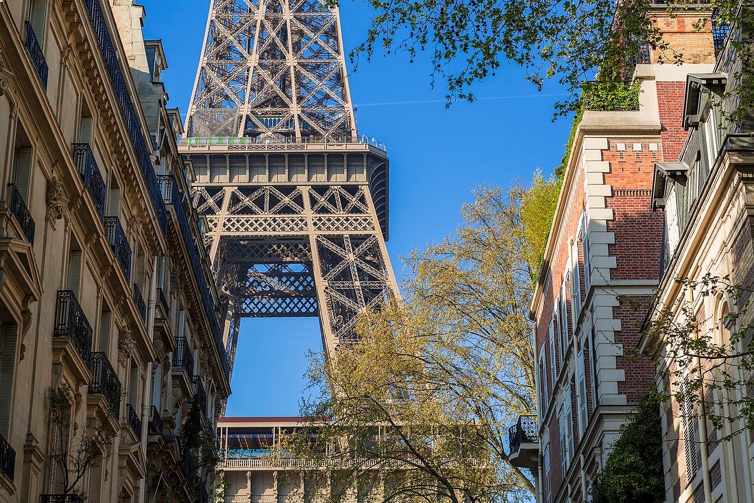 France, Paris, the Eiffel Tower and Parisian buildings