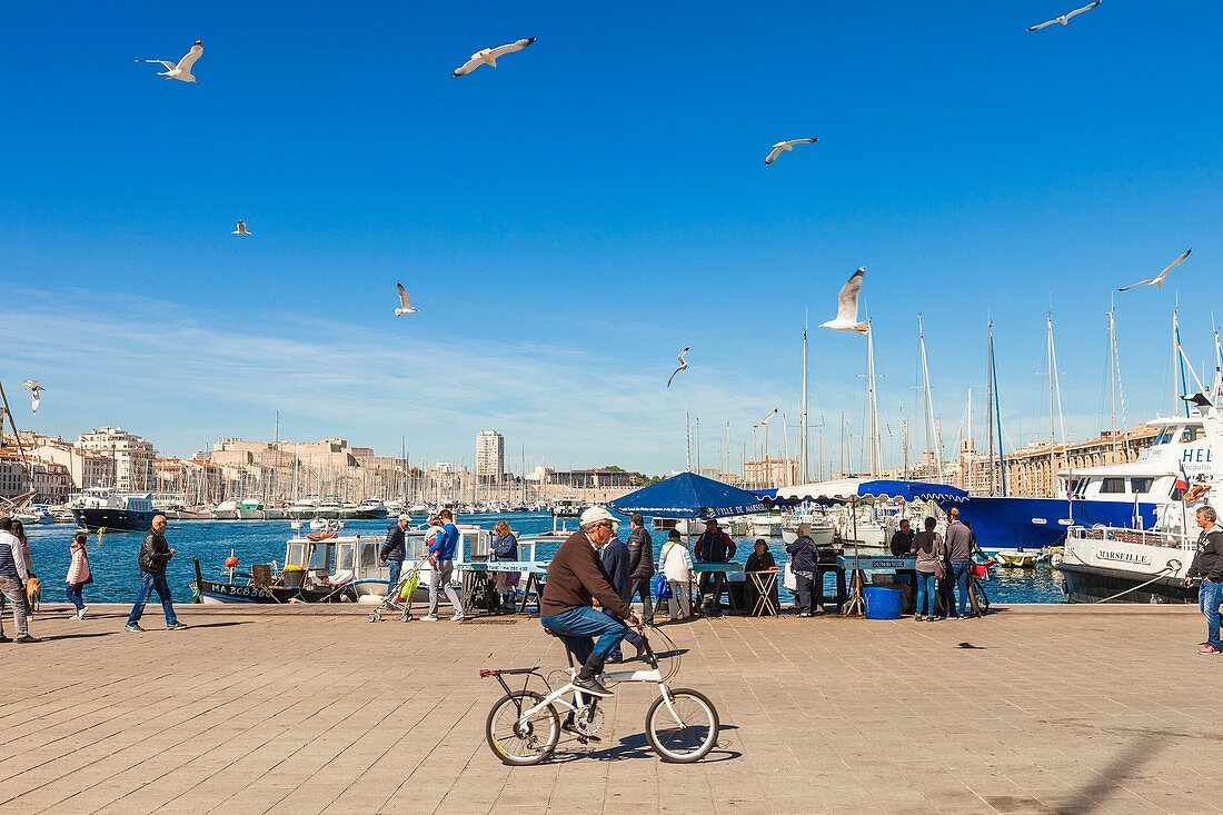 Frankreich, Bouches-du-Rhône, Marseille, der alte Hafen und der Fischmarkt