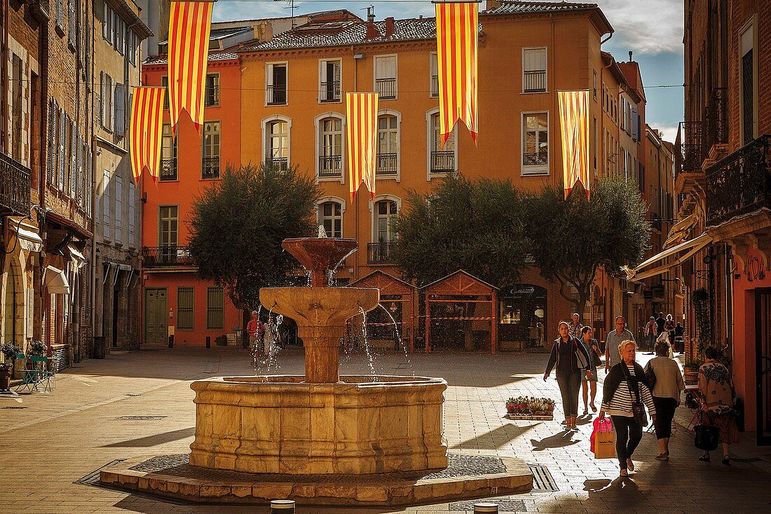 France, Pyrenees Orientales, Perpignan, Perpignan city &#x200b,&#x200b,center, fountain of Hospital in Gambetta square