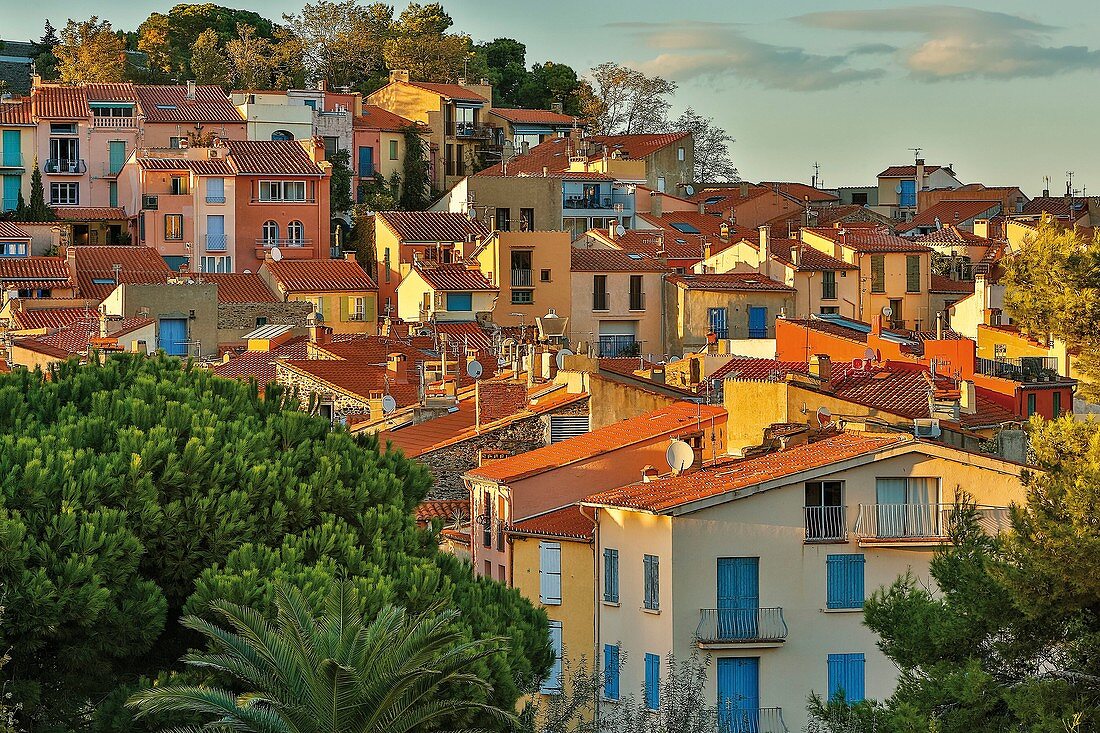 Frankreich, Pyrénées-Orientales, Collioure, Blick von den Dächern der Stadt
