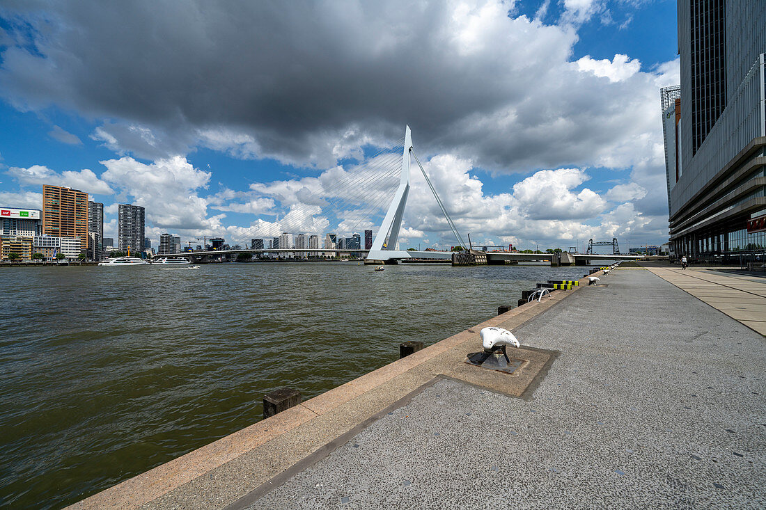 View over the Nieuwe Maas to the Erasmus Bridge, Rotterdam, Holland.