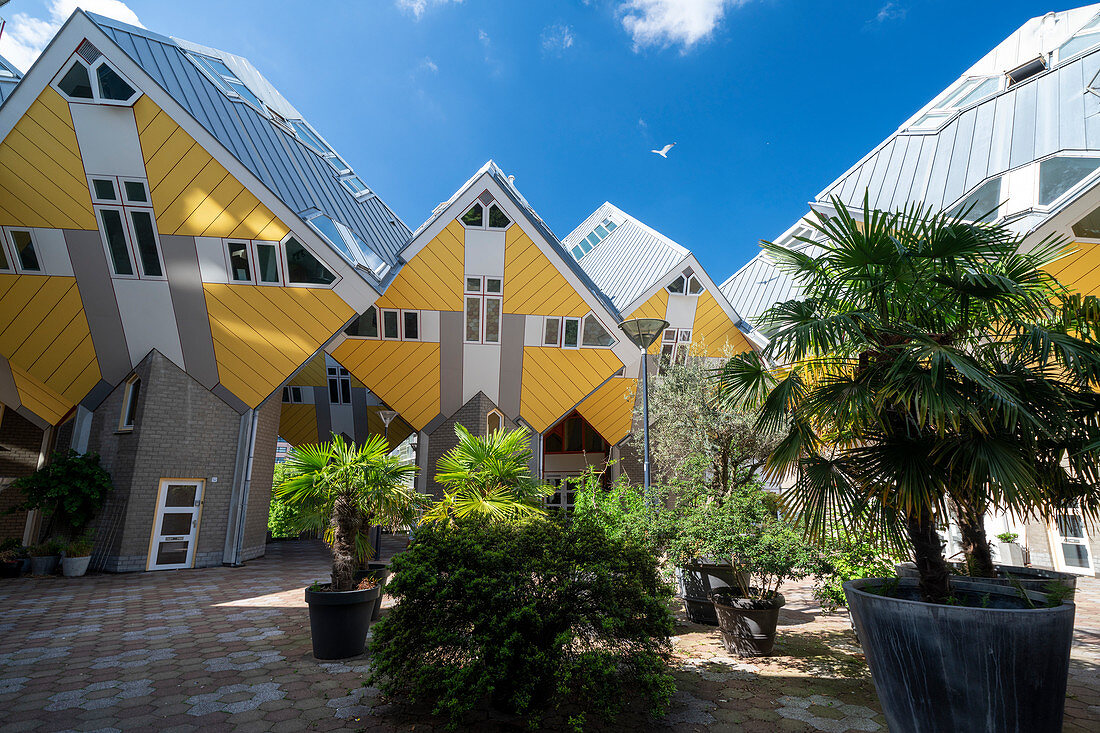 Cube houses by architect Piet Blom in sunshine and blue sky, Overblaak 70, Rotterdam, The Netherlands