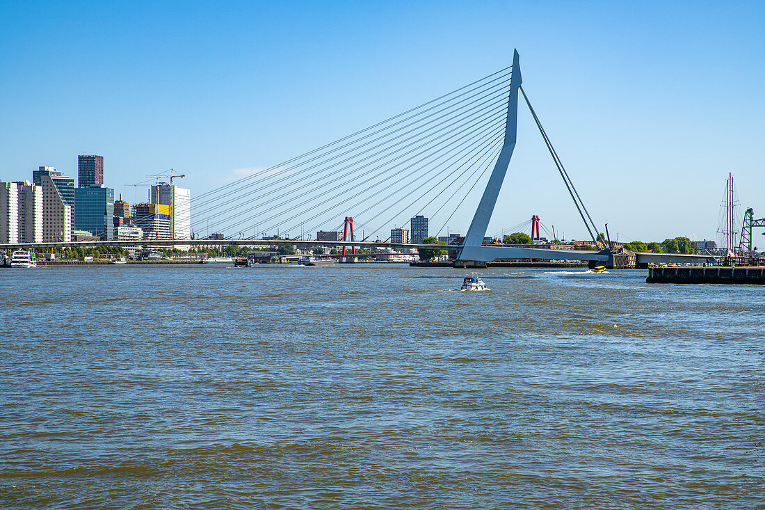 Blick über die Neue Maas auf die Erasmusbrücke, Rotterdam, Niederlande