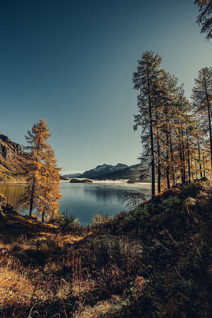 Lake Sils at sunrise in the Upper Engadine, St. Moritz in the Engadine, Switzerland