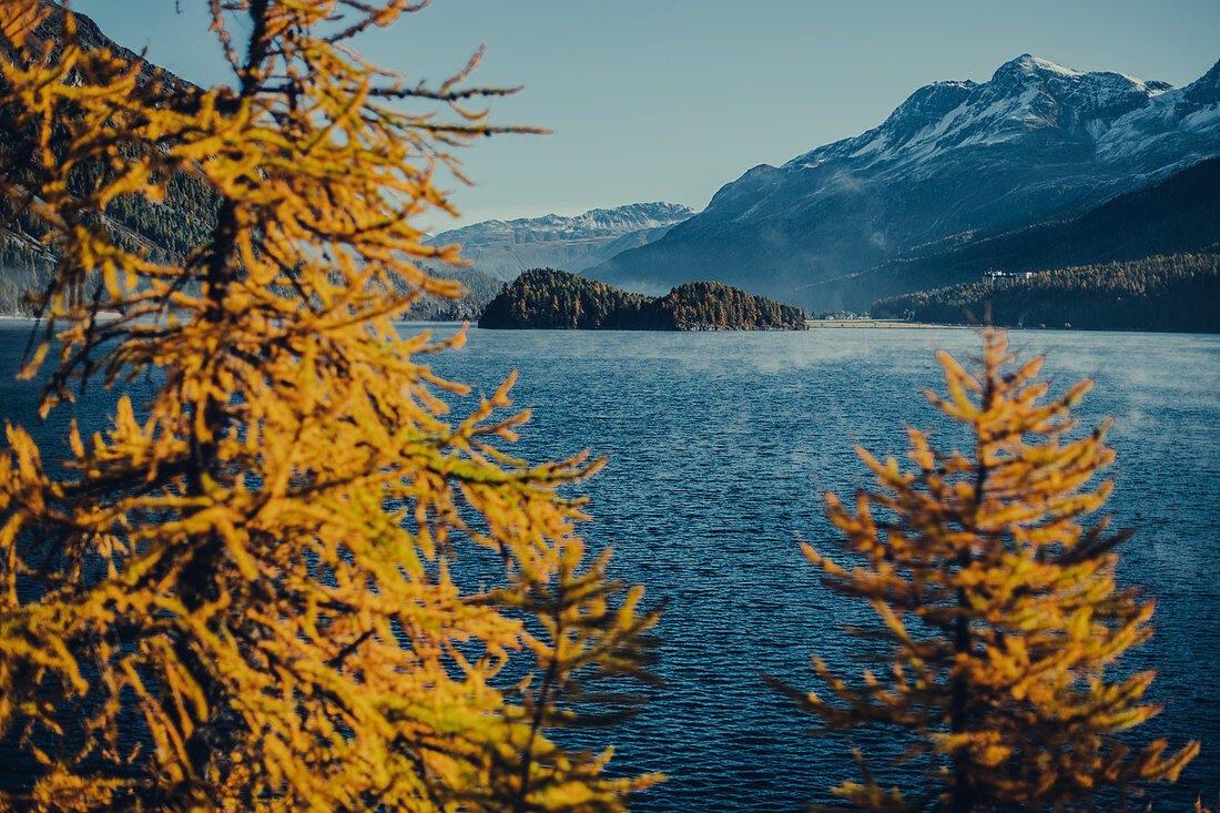 Inseln im Silsersee bei Sonnenaufgang, Oberengadin, Sankt Moritz im Engadin, Schweiz, Europa