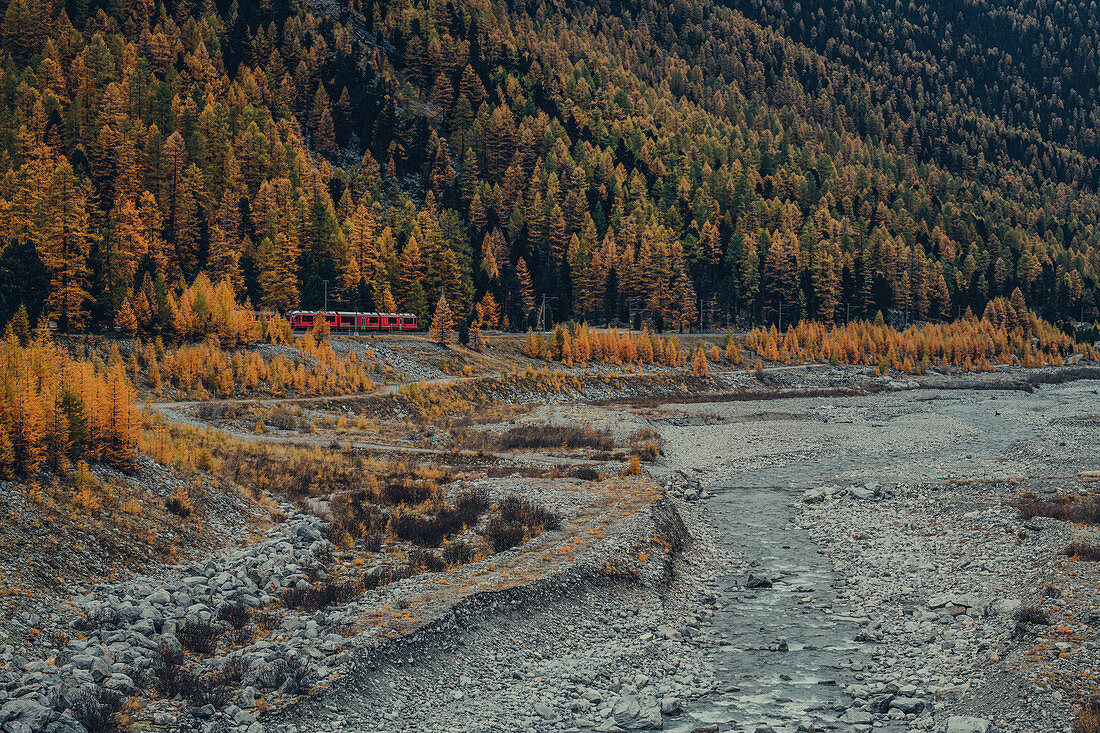 Berninaexpress am Morteratschgletscher, Bernina, Berninapass, Oberengadin, Engadin, Schweiz, Europa